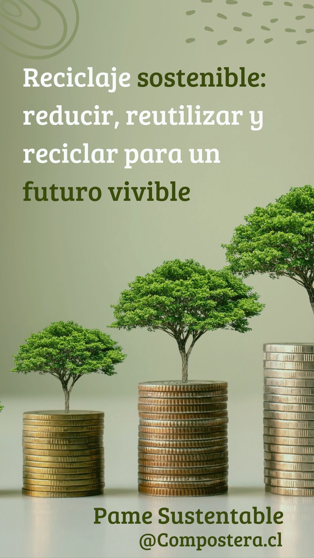 b. Cursos de sustentabilidad en plataforma web